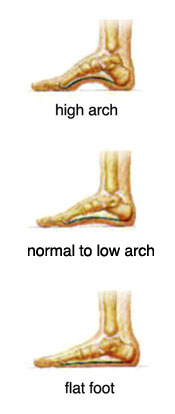 foot-arches